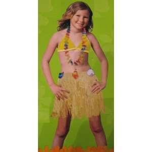    Hula Skirt, Child Size with Adjustable Waistband Toys & Games