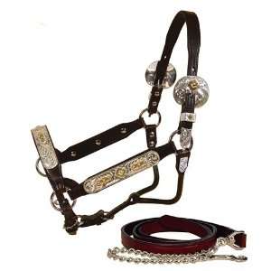 Horse Maybach Congress Style Halter w/Lead  Sports 