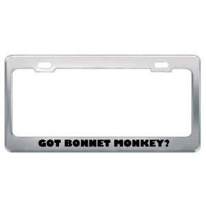  Got Bonnet Monkey? Animals Pets Metal License Plate Frame 