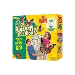  Live Butterfly Pavilion by Insect Lore Toys & Games