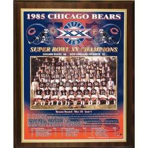  Chicago Bears 1985 Super Bowl XX Healy Plaque Sports 