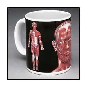  Muscle Man Ceramic Mug 8946CM Industrial & Scientific