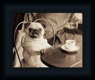 Funny Cafe Pug at a Table Drinking Tea by Jim Dratfield Cute Puppy 