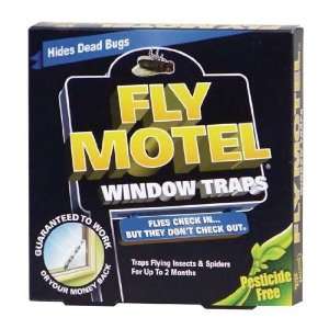  Window Fly Motel   4 Pack