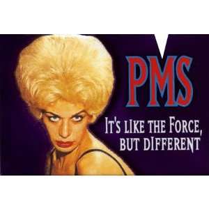  PMS Magnet
