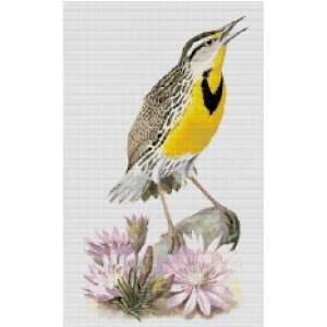  Montana State Bird and Flower Counted Cross Stitch Pattern 