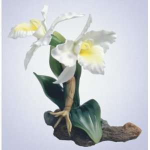 White Cattleya Orchids Sculpture  Grocery & Gourmet Food