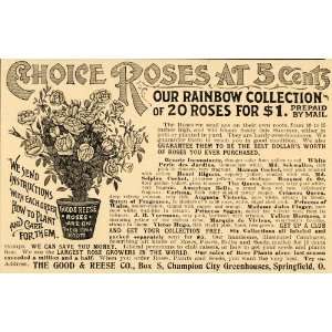1897 Ad Rainbow Roses Flower Varieties Good Reese Price   Original 
