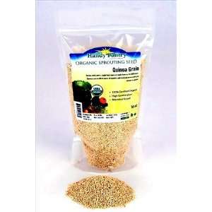  Certified Organic Quinoa Grain Sprouting Seeds   Sprouts 