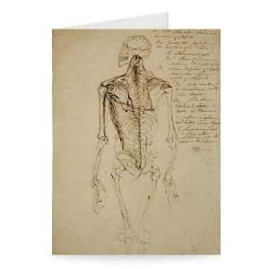 Drawing of a Mans Skeleton (brown pen & ink   Greeting 