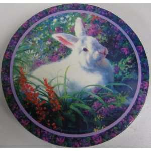  Easter Bunny Cookie/Candy Box