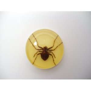  Ghost Spider Poker Guard Yellow