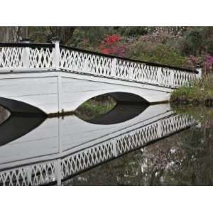  White Bridge Reflecting in a Pond, Magnolia Plantation, Charleston 