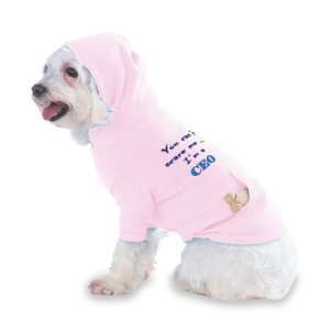   CEO Hooded (Hoody) T Shirt with pocket for your Dog or Cat LARGE Lt