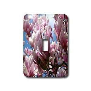   Saucer Magnolias Spring   Light Switch Covers   single toggle switch