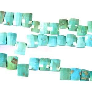  Faceted Turquoise Side Drilled Chiclets   