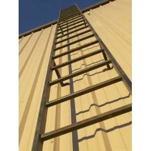  Ladder Leading to Roof of Industrial Building Photographic 