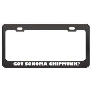 Got Sonoma Chipmunk? Animals Pets Black Metal License Plate Frame 