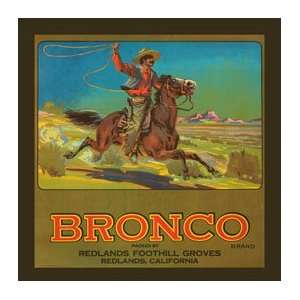  Bronco Metal Sign Country Home Decor Wall Accent