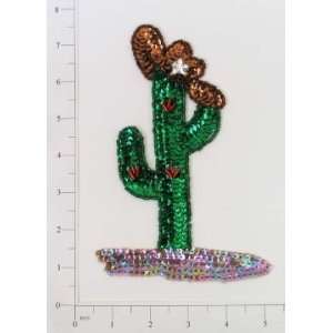  Cactus with Hat Sequin Applique Toys & Games
