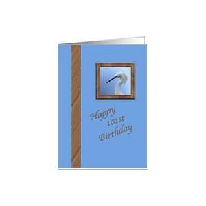   101th Birthday Day Card with Snowy Egret Portrait Card Toys & Games