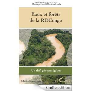 Eaux et forêts de la RDCongo  Un défi géostratégique (Comptes 