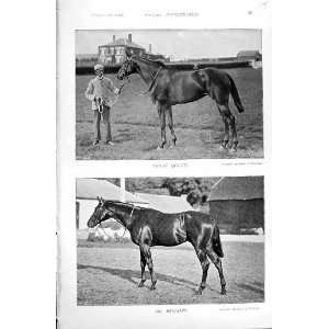  1895 HORSE RACING SPORT INDIAN QUEEN SIR BENJAMIN