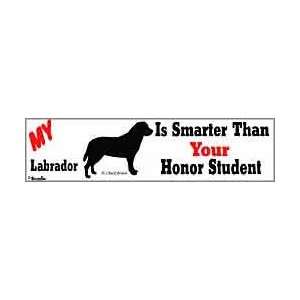  Smarter Labrador Sticker Automotive