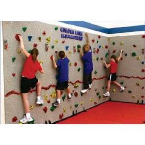  Standard Traverse Climbing Wall Panel 10 x 40 Toys 