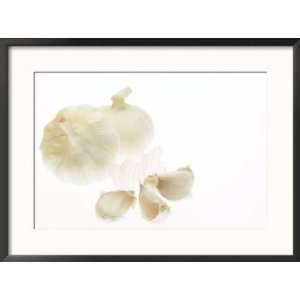  Cloves and Heads of Garlic Collections Framed Photographic 