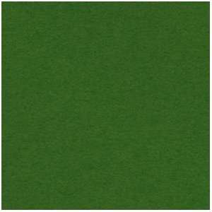  Canford Paper Jewel Green 20 1/2x30 1/2 Arts, Crafts 