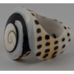Authentic Real Seashell Shell Ring Shiva Eye  
