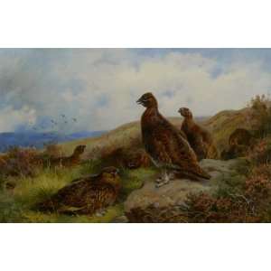  FRAMED oil paintings   Archibald Thorburn   24 x 16 inches 