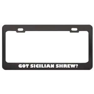  Got Sicilian Shrew? Animals Pets Black Metal License Plate 