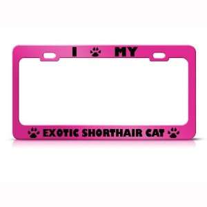  Exotic Shorthair Cat Pink Metal License Plate Frame Tag 