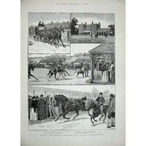   1889 Prince Wales Walter Gilbey Shire Horses Elsenham