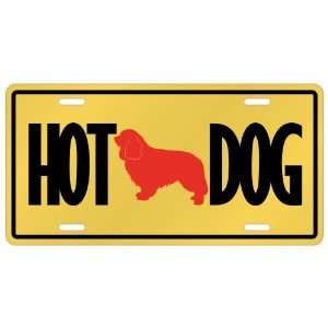   King Charles Spaniels   Hot Dog  License Plate Dog