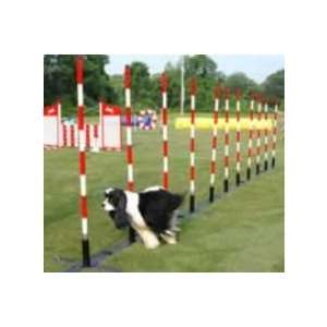 PACIFIC RM 020PRI 7515A Dog Agility Weave Poles  6 Foldable Poles with 