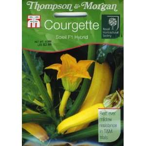  Thompson & Morgan 897 RHS Courgette Soleil F1 Seed Packet 