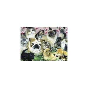  12 Cats and a Dog   1000 Pieces Jigsaw Puzzle Toys 