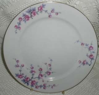 Rosenthal Rosenthale Germany Dinner Plate Pink Flowers  