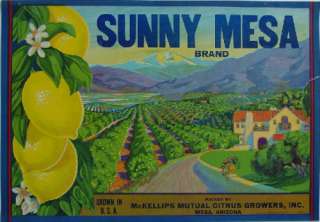 Sunny Mesa Citrus Crate Label Mesa, Arizona  