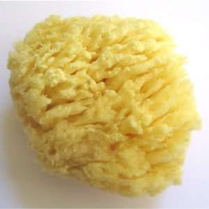 Natural Wool Sea Sponge   Luxurious, Traditional & most popular   3 