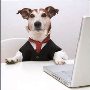  Dog at Desk New Job Card 