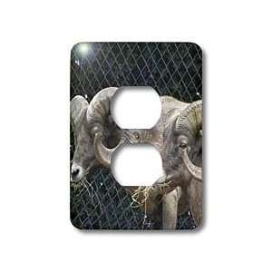   Sheep   Light Switch Covers   2 plug outlet cover