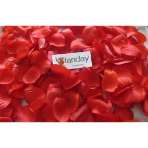 Tanday Scarlet Red 1000 Premium Hand cut Velvet Rose 