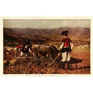 1926 Print Farmers Sardinian Men Handmade Wooden Plow Animals Farming 