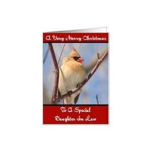  Daughter In Law Cardinal Merry Christmas Card Card Health 