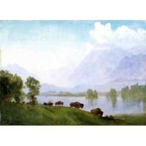  Oil Painting Buffalo Country Albert Bierstadt Hand 