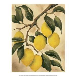     Lemons Finest LAMINATED Print Doris Allison 12x16